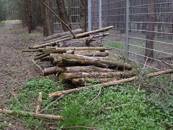 putzaktion 07