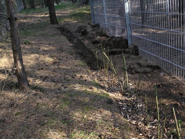 putzaktion 09