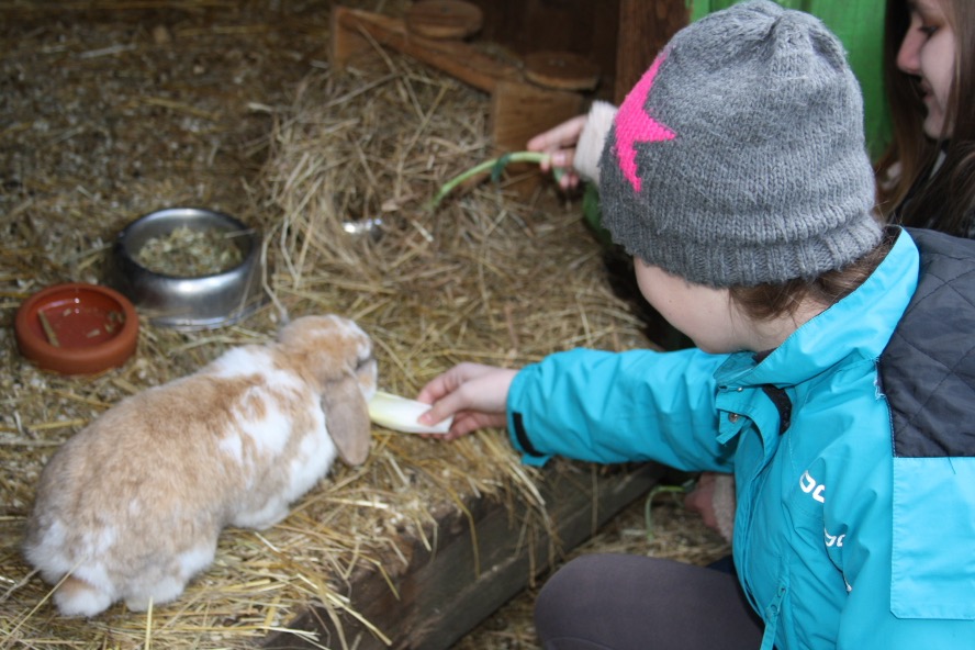 Projekt Tierschutz