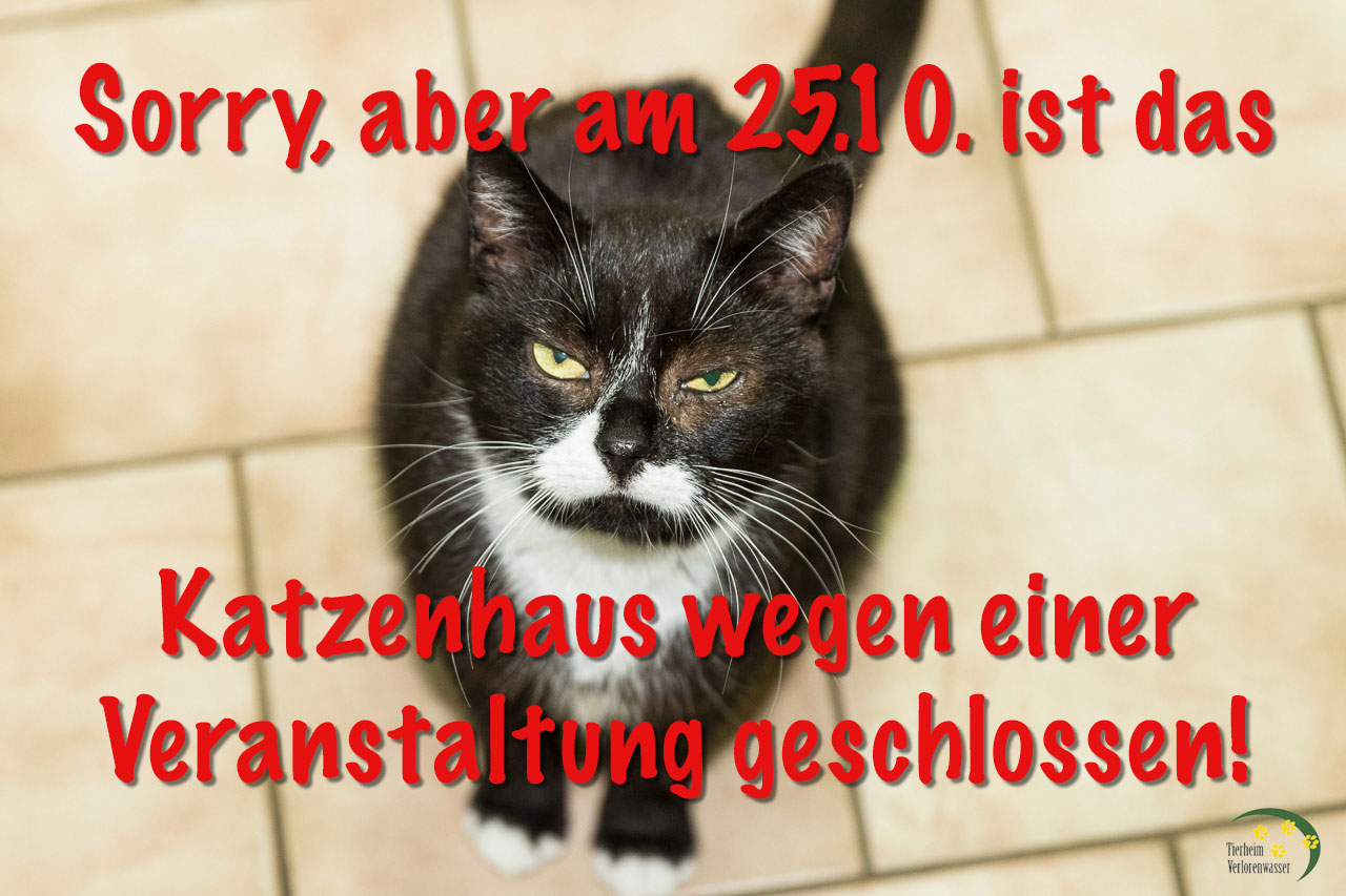 Katzenhaus am 25.10.2017 geschlossen