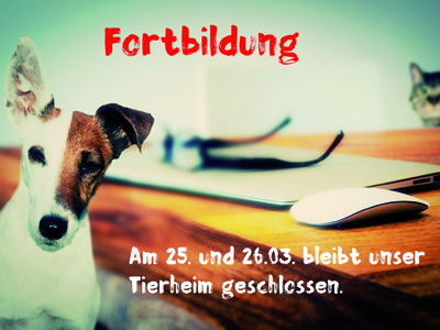 Weiterbildung