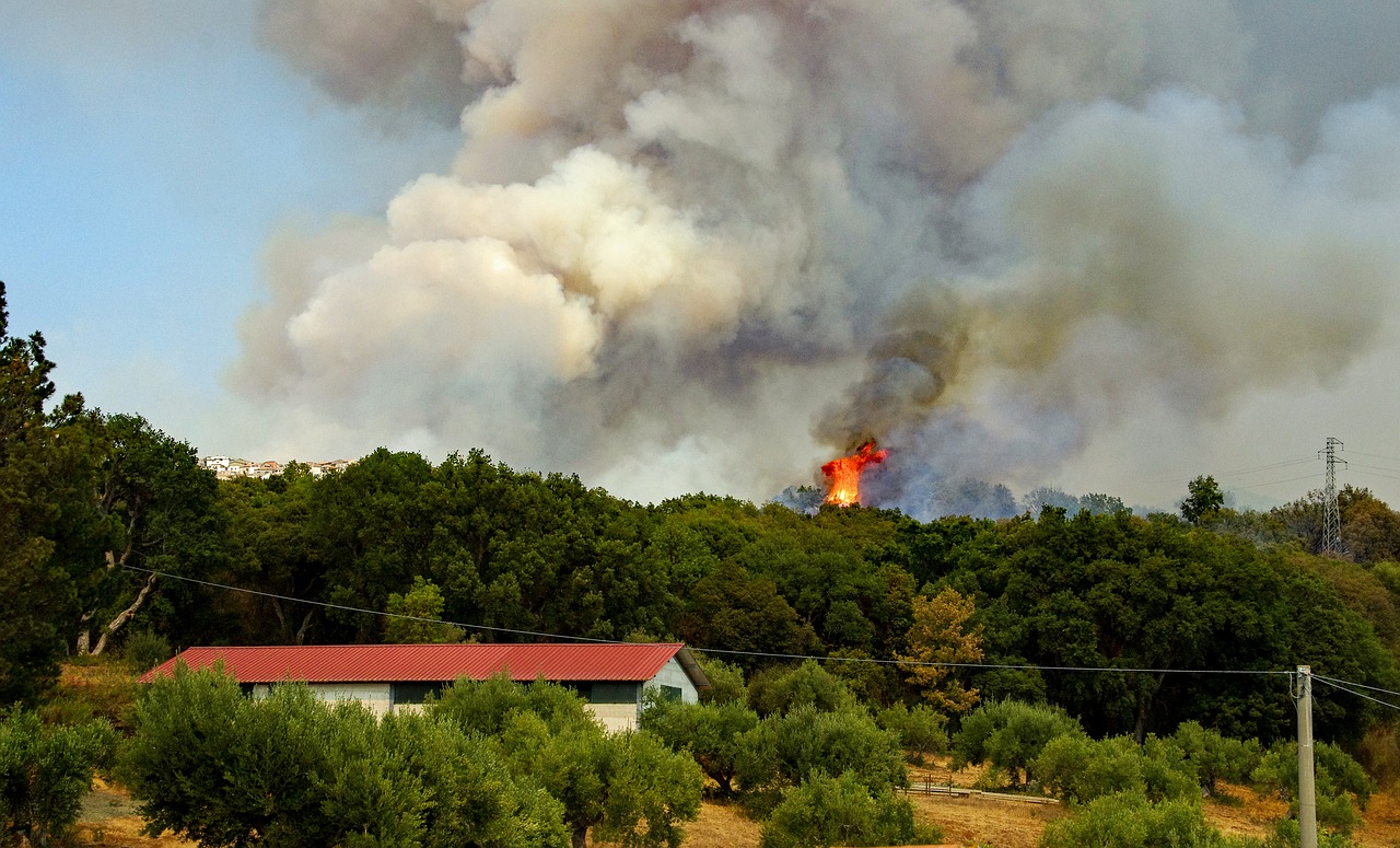 Waldbrand