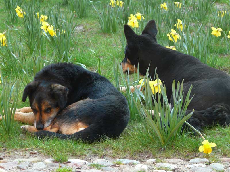 Grete und Timo