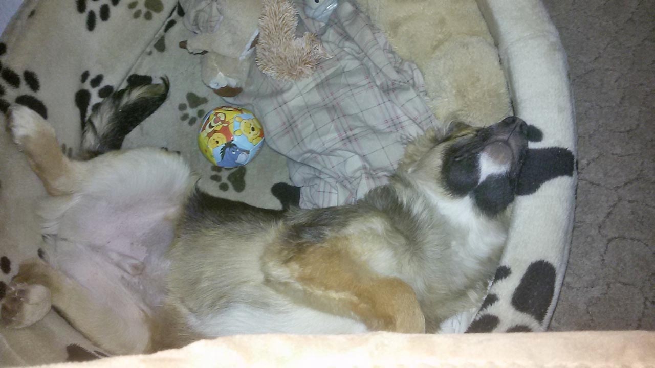 Legolas, jetzt Bilbo