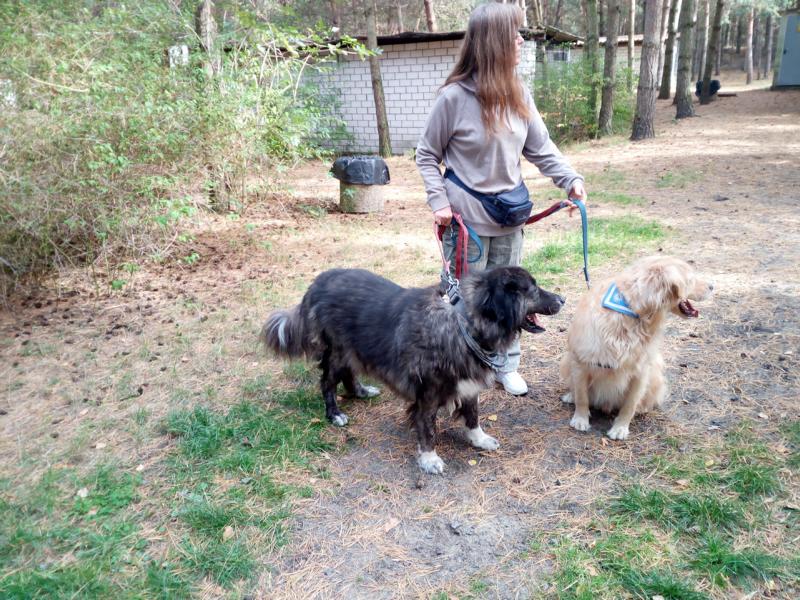 Lily und Aslan