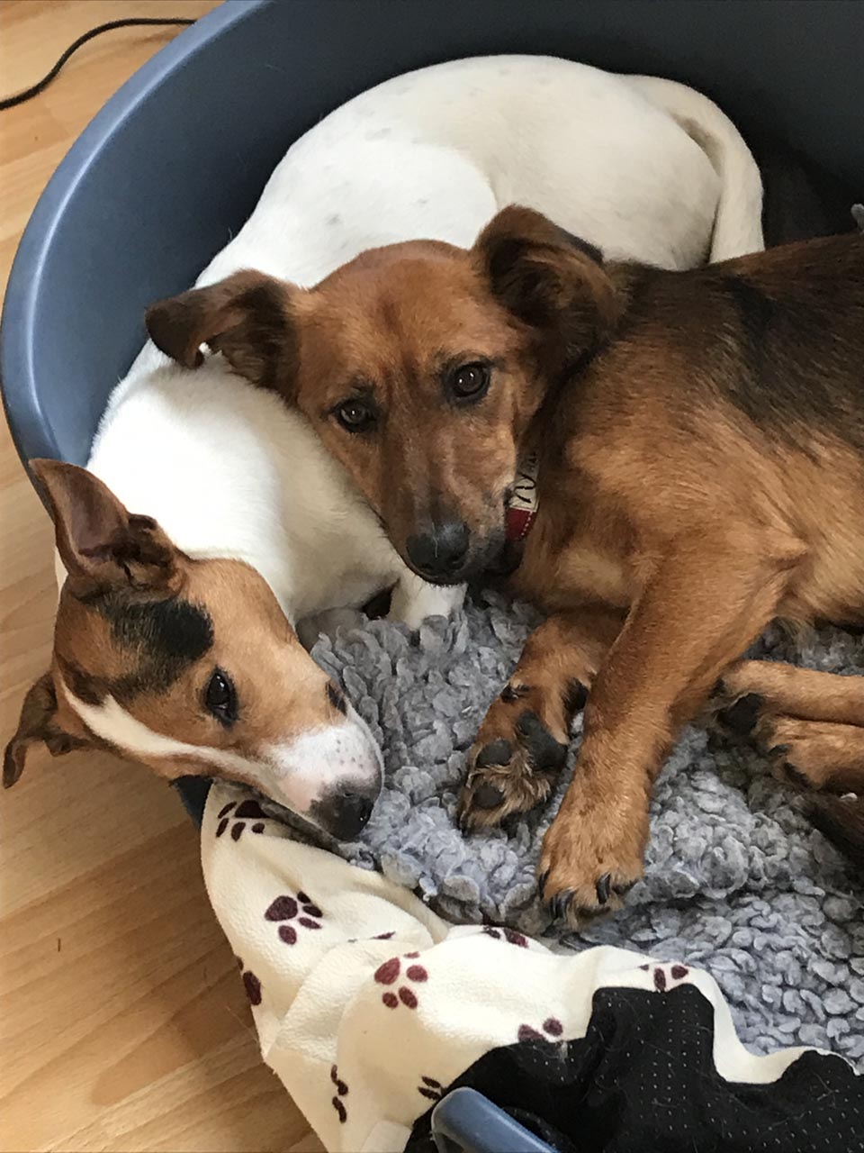 Theo und Lotte