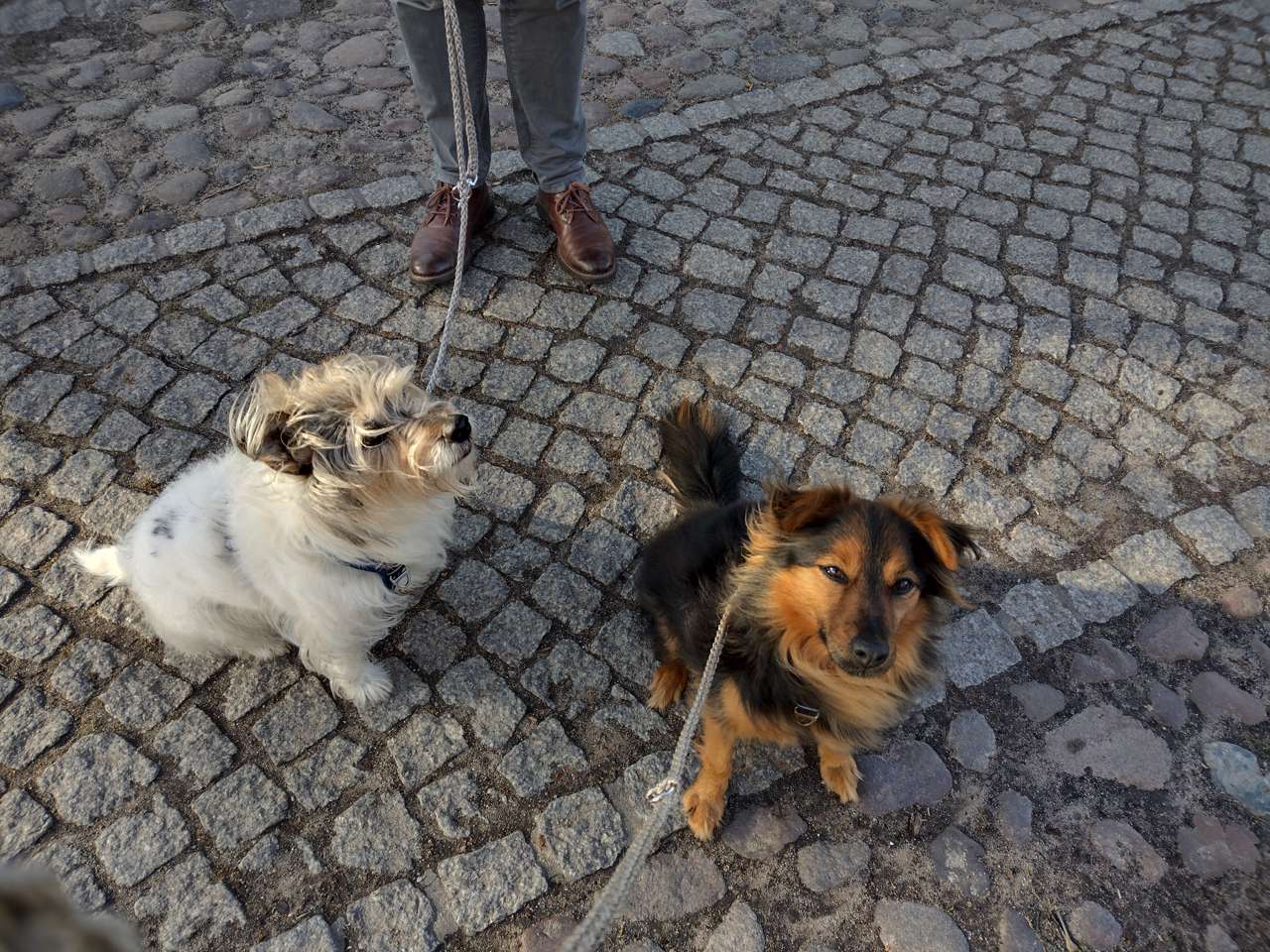Muki