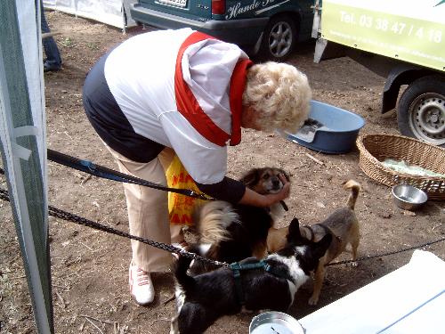 Hundeschule Lange - Streicheleinheiten für Bella