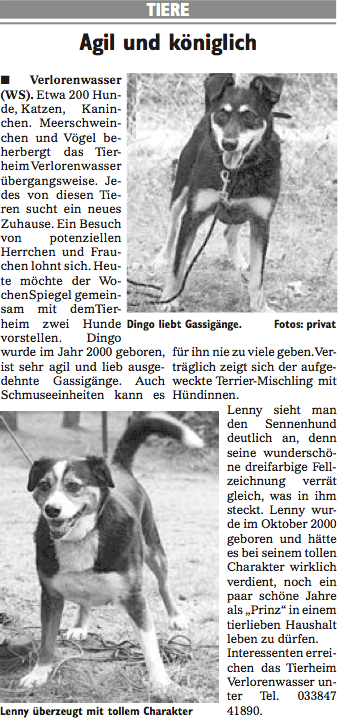 Wochenspiegel_KW46