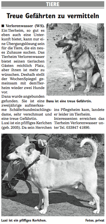 Wochenspiegel_KW47