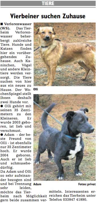 Wochenspiegel_KW12