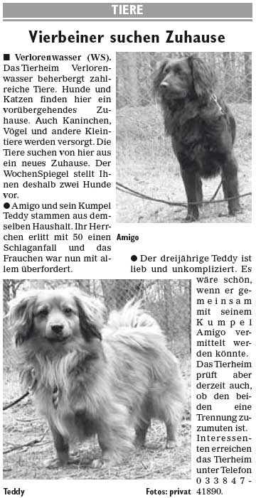 Wochenspiegel_KW14