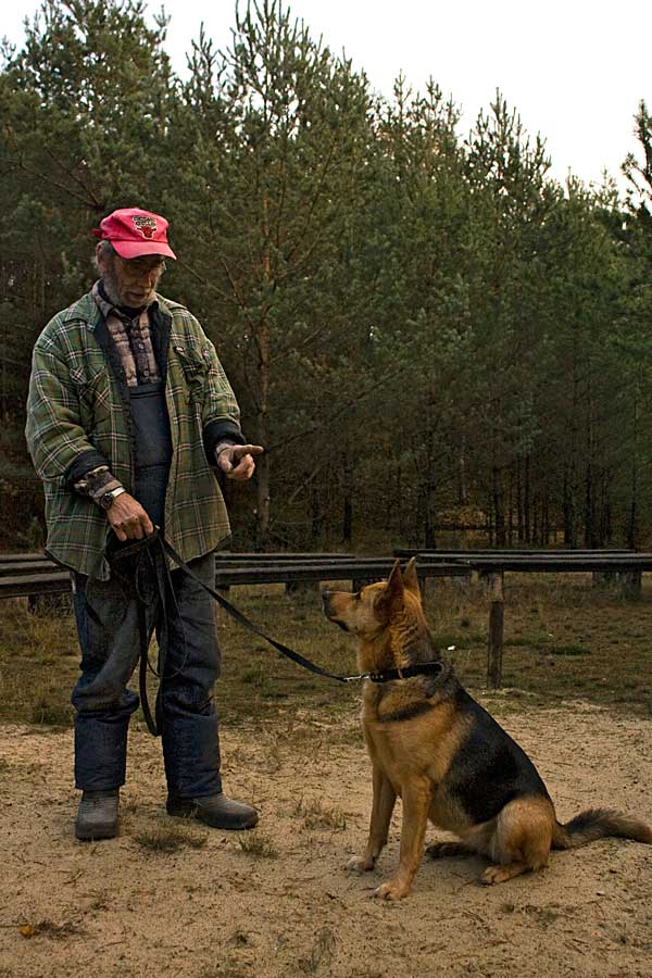 Hundetraining