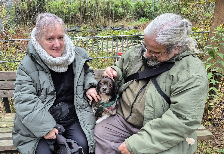 tierheim hund miro