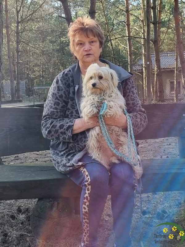 Britta - Hund aus dem Tierheim Verlorenwasser